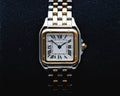 Cartier Panthere Dial on W2PN0018